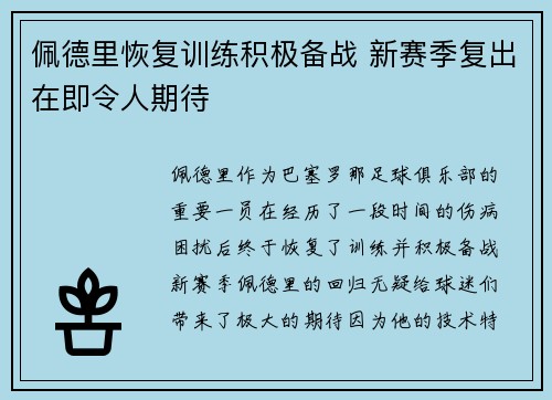 佩德里恢复训练积极备战 新赛季复出在即令人期待